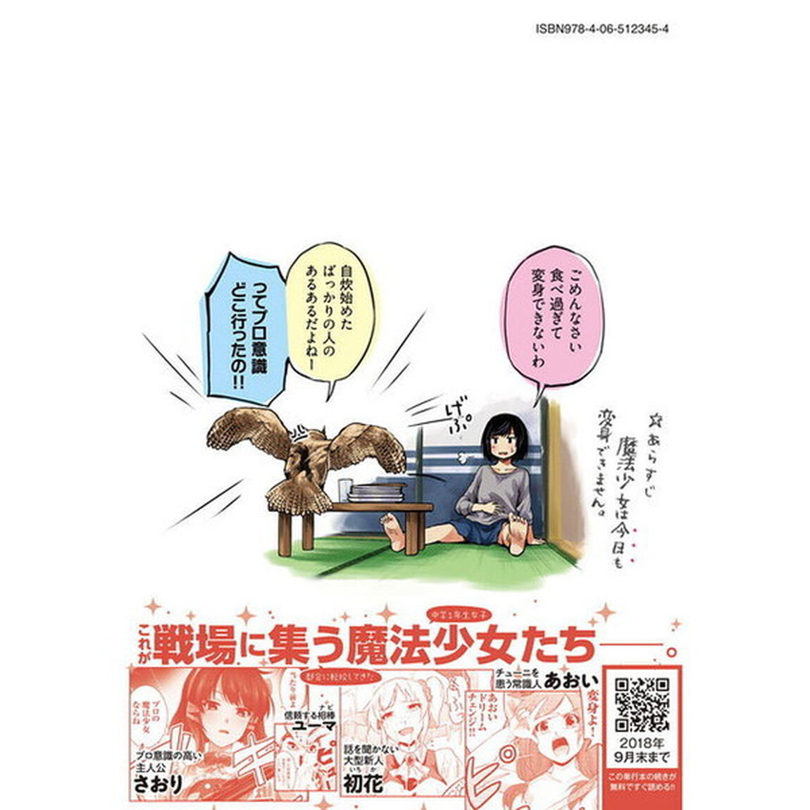 魔法少女になれません。　１