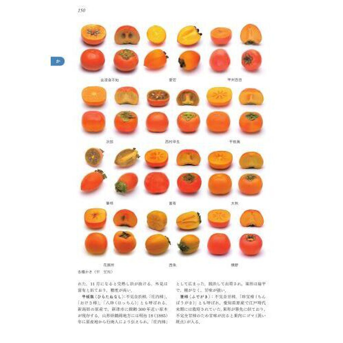 日本食品大事典「新版　第２版」