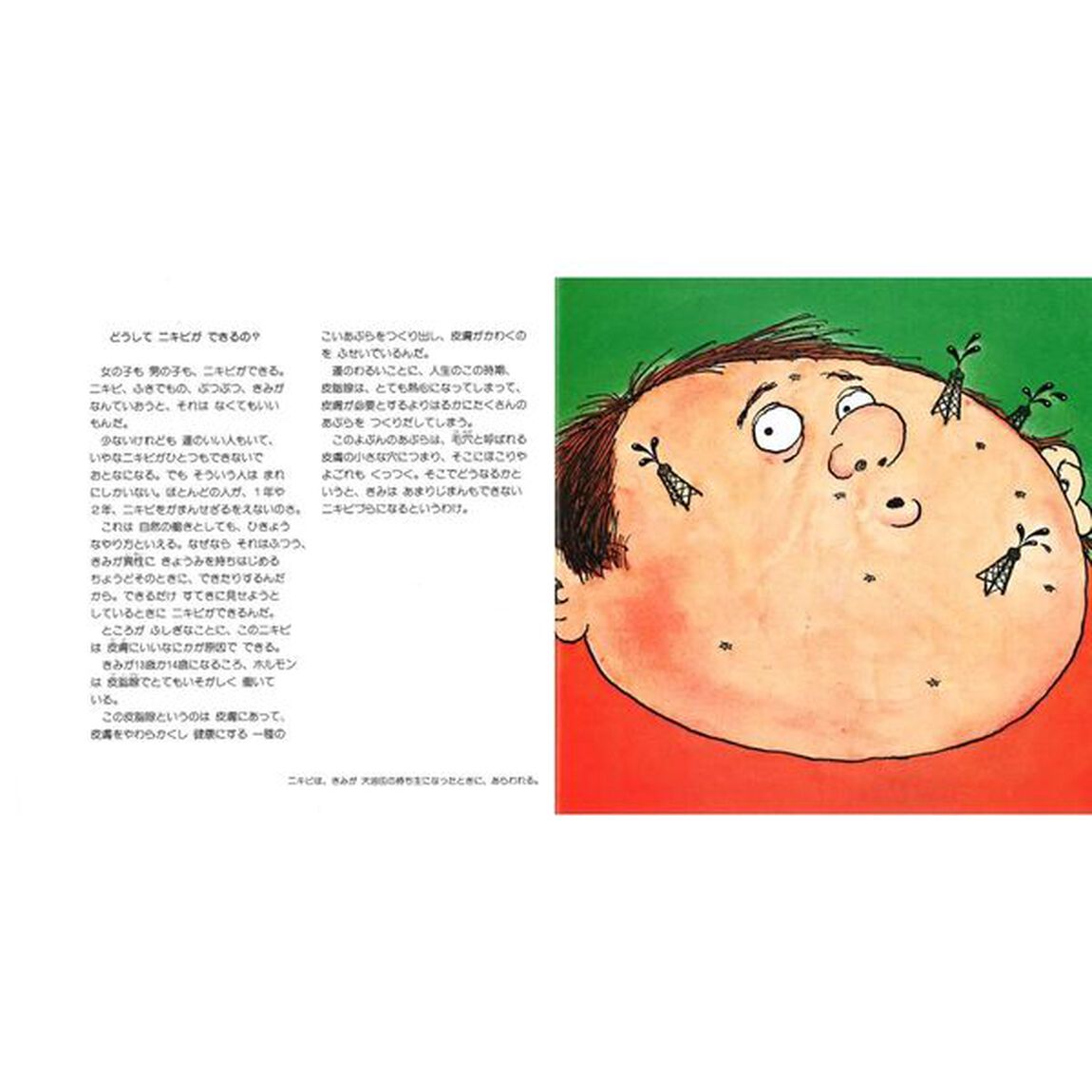 なにがはじまるの？　思春期にかわりはじめるからだの本。　ハンディ版新装版