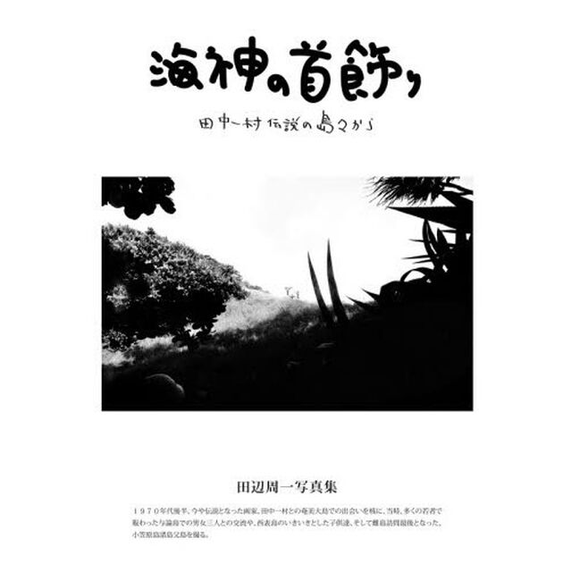海神の首飾り　田中一村伝説の島々から