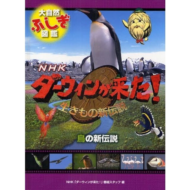 ＮＨＫダーウィンが来た！生きもの新伝説大自然ふしぎ図鑑　〔４〕「鳥の新伝説」