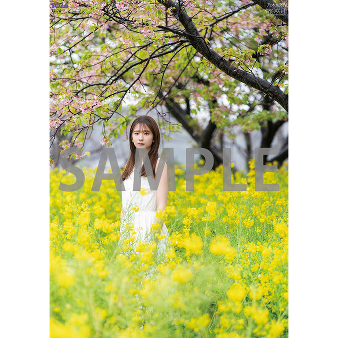 BOMB 2026年5月号【セブンネット限定特典：菅原咲月（乃木坂46）ポストカードＣ 1枚付き】