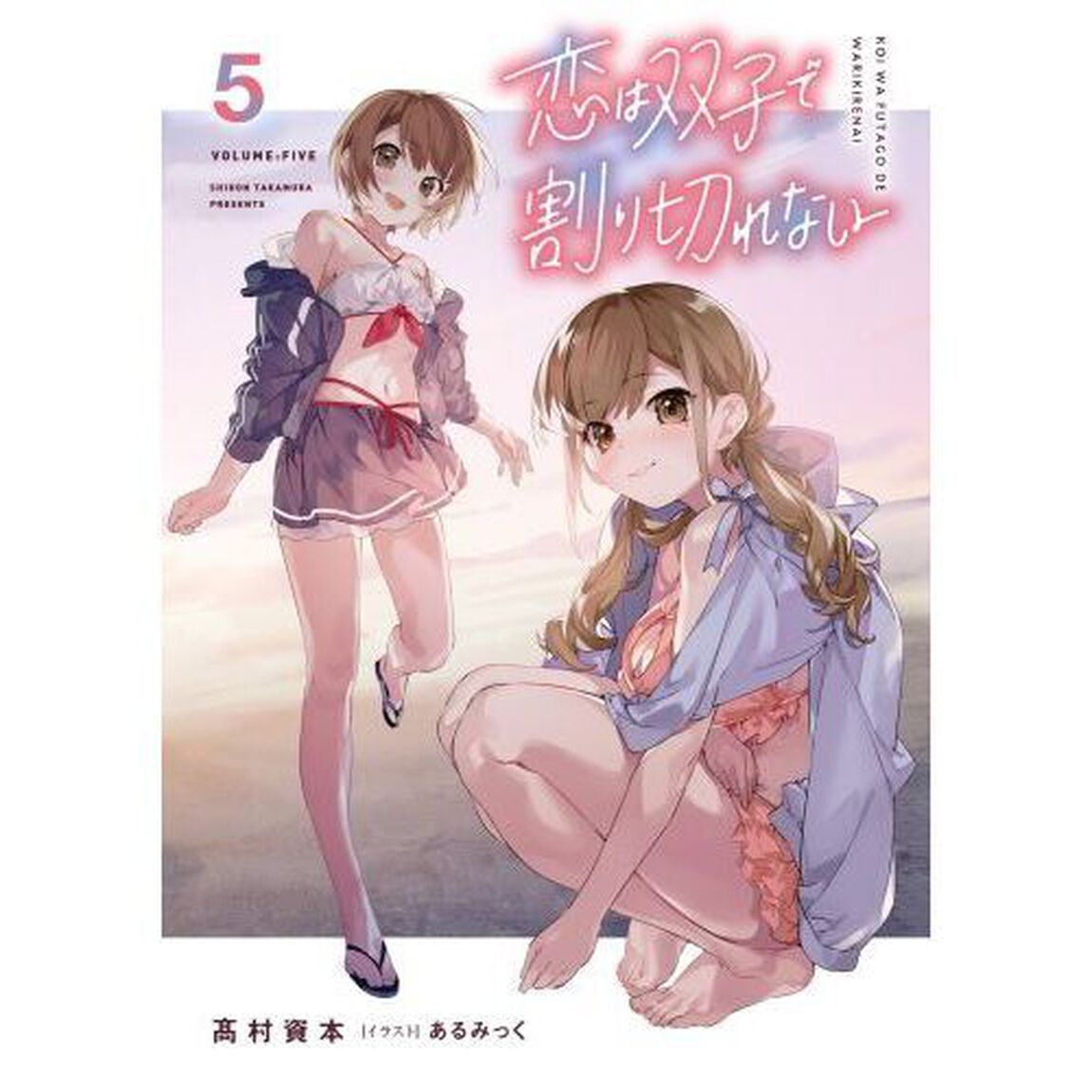 恋は双子で割り切れない　５