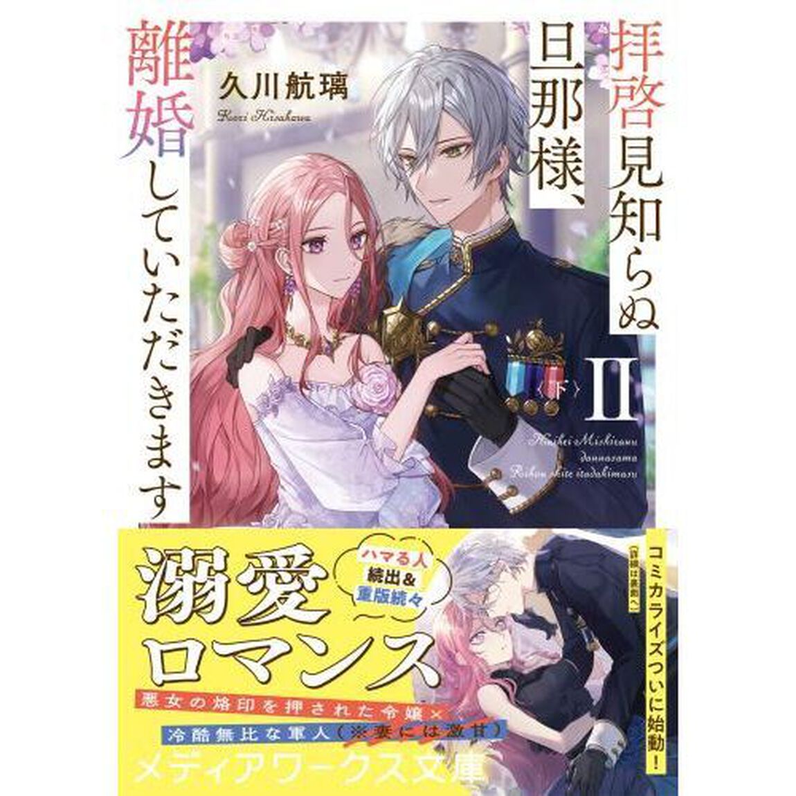 拝啓見知らぬ旦那様、離婚していただきます　２下