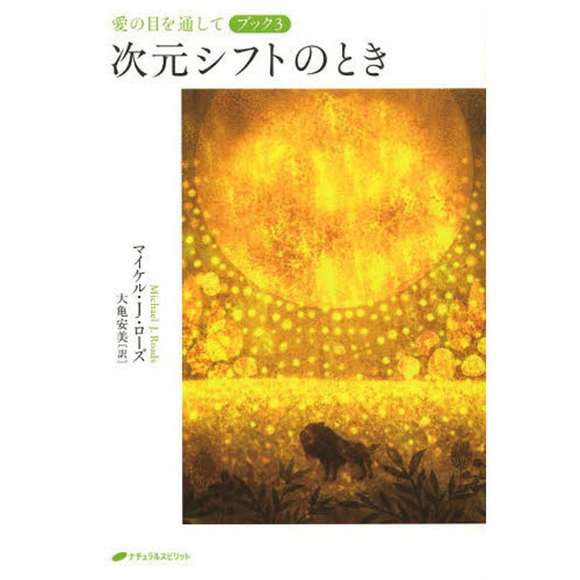 愛の目を通して　ブック３「次元シフトのとき」