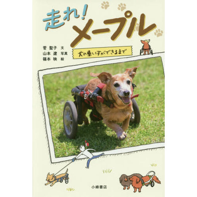 走れ！メープル　犬の車いすができるまで