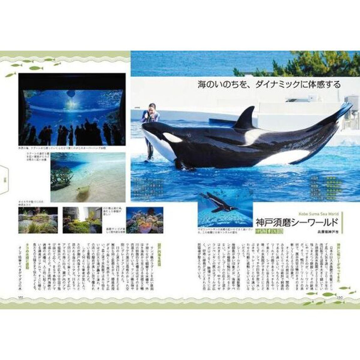 中村元の全国水族館ガイド１２９　全館訪問取材「新版」