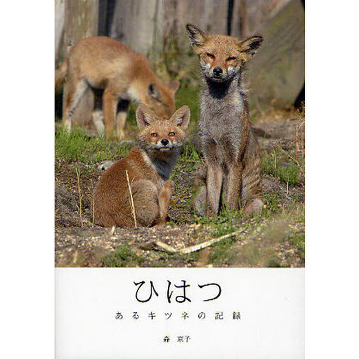 ひはつ　あるキツネの記録