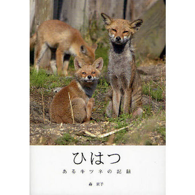 ひはつ　あるキツネの記録