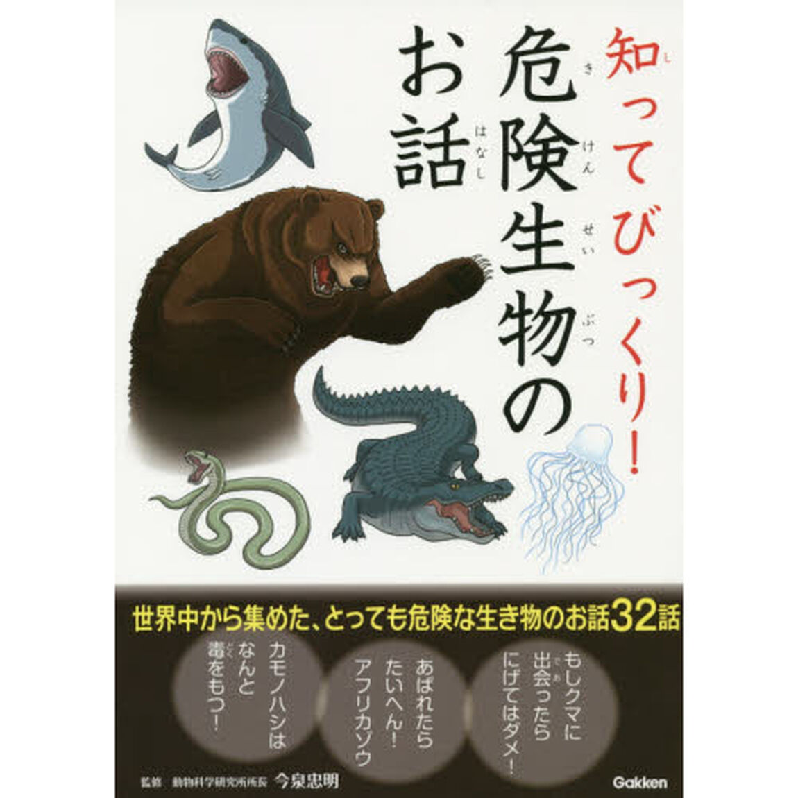 知ってびっくり！危険生物のお話