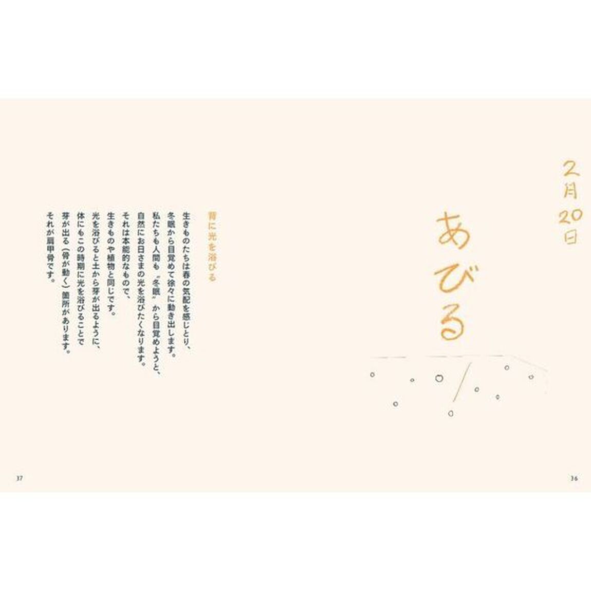 日々のぽかん体操
