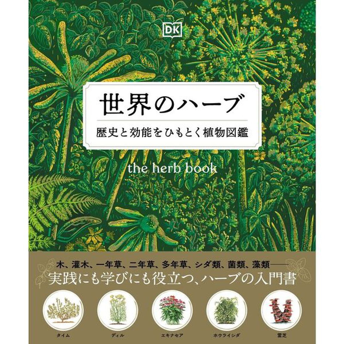 世界のハーブ　歴史と効能をひもとく植物図鑑