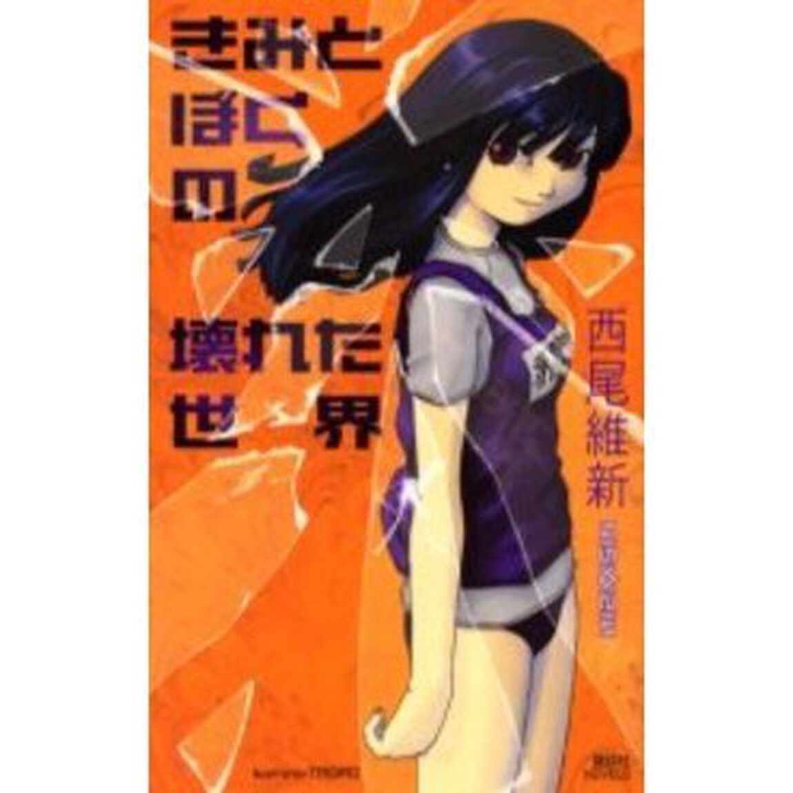 きみとぼくの壊れた世界