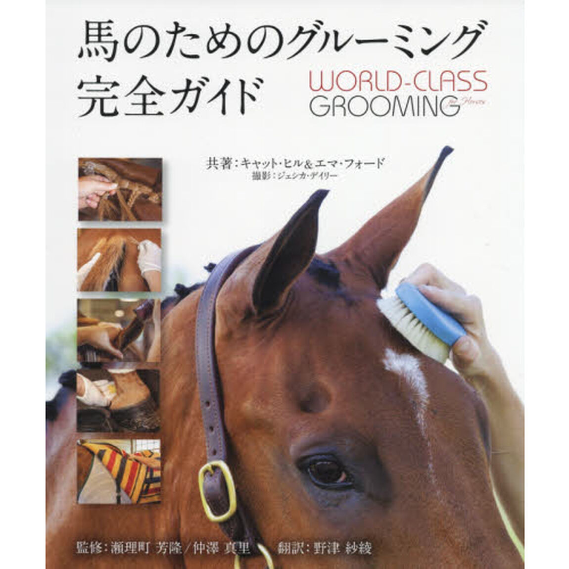 馬のためのグルーミング完全ガイド