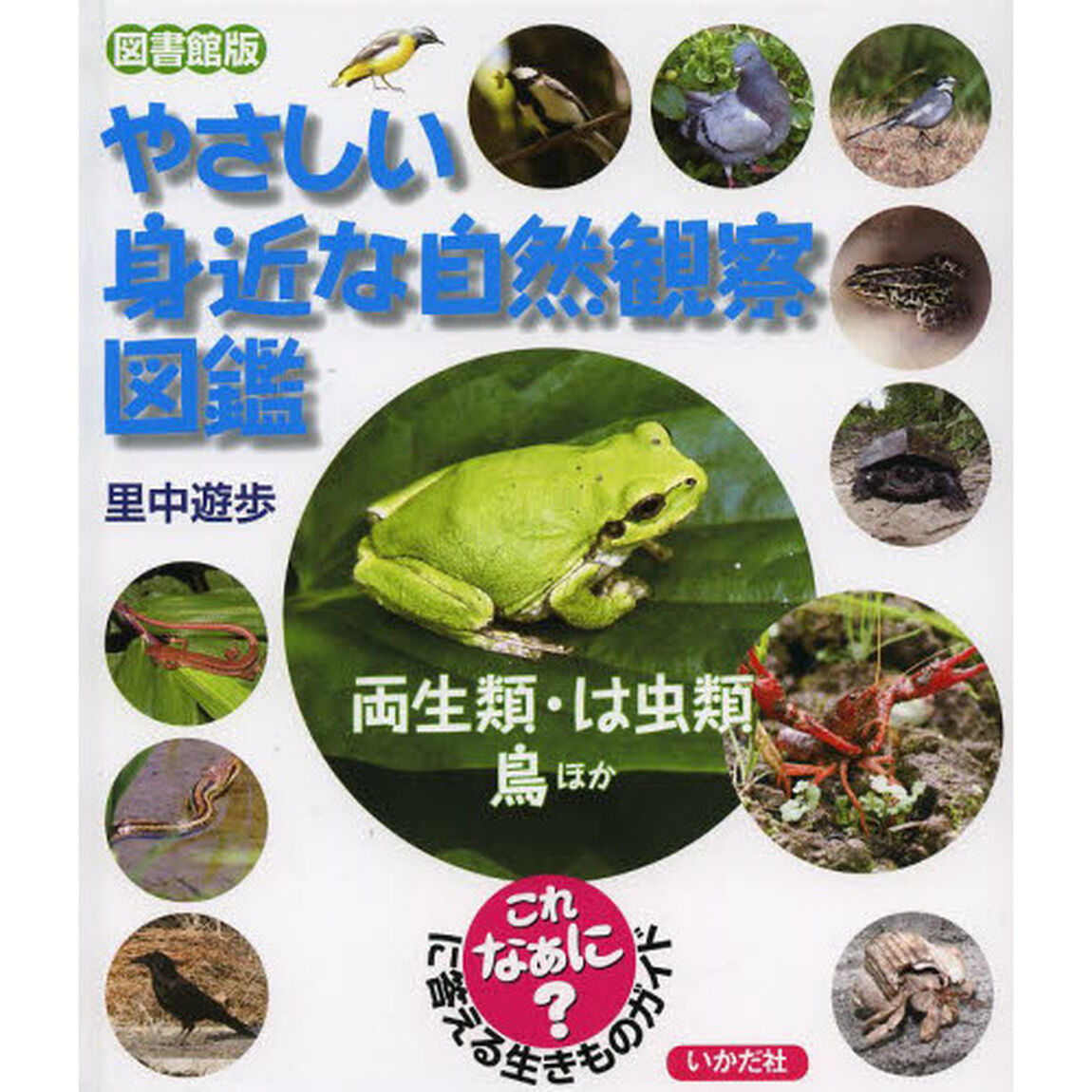 やさしい身近な自然観察図鑑　これなあに？に答える生きものガイド　両生類・は虫類・鳥ほか　図書館版