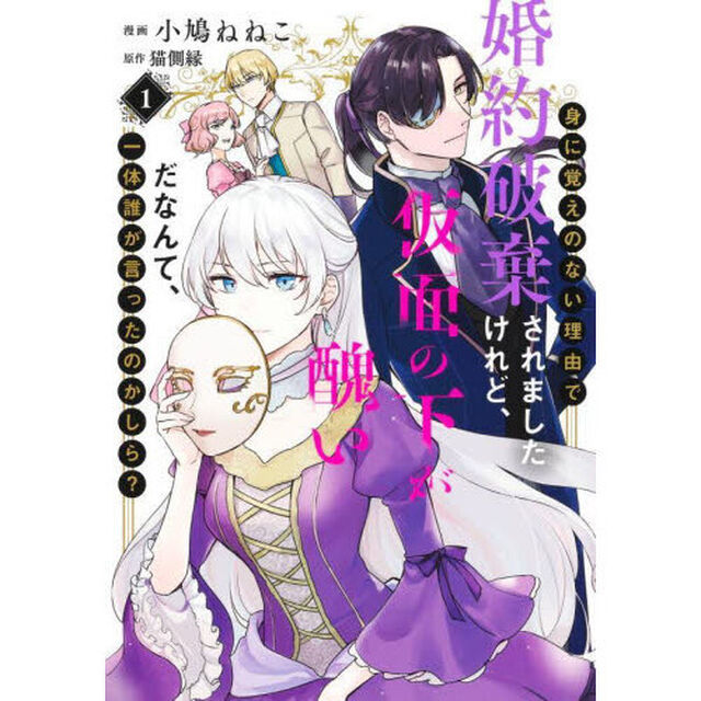 身に覚えのない理由で婚約破棄されましたけれど、仮面の下が醜いだなんて、一体誰が言ったのかしら？　１