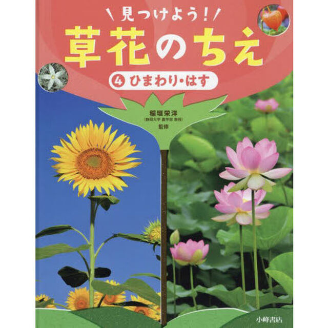 見つけよう！草花のちえ　４「ひまわり・はす」
