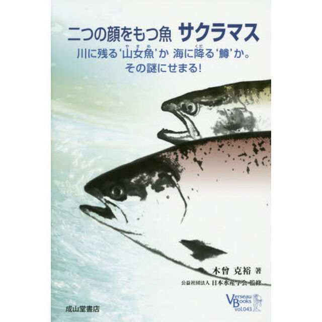 二つの顔をもつ魚サクラマス　川に残る&lsquo;山女魚&rsquo;か海に降る&lsquo;鱒&rsquo;か。その謎にせまる！