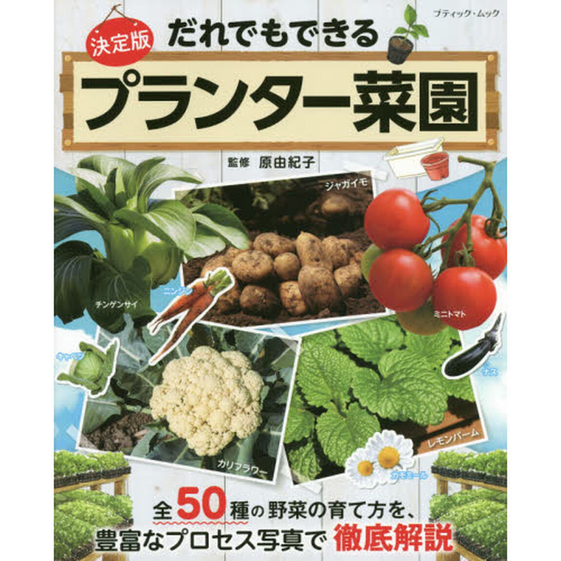 だれでもできるプランター菜園　全５０種の野菜の育て方を、豊富なプロセス写真で徹底解説　決定版
