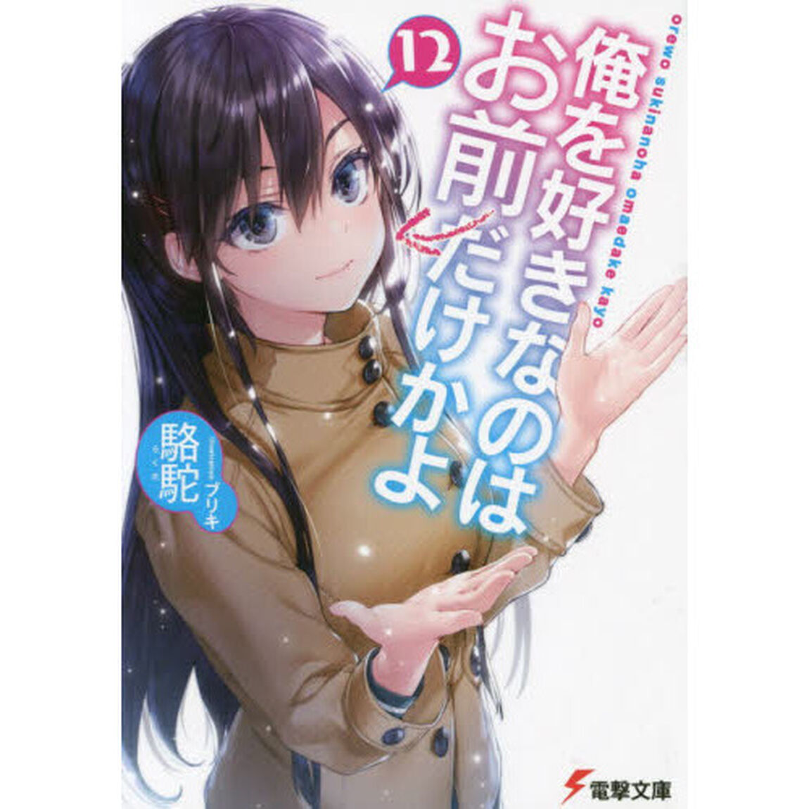 俺を好きなのはお前だけかよ　１２