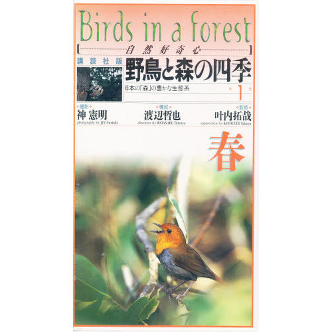 ビデオ　野鳥と森の四季　　　１　春の野鳥