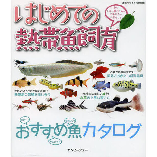 はじめての熱帯魚飼育　魚を上手に飼うために必要なもの必要なこと