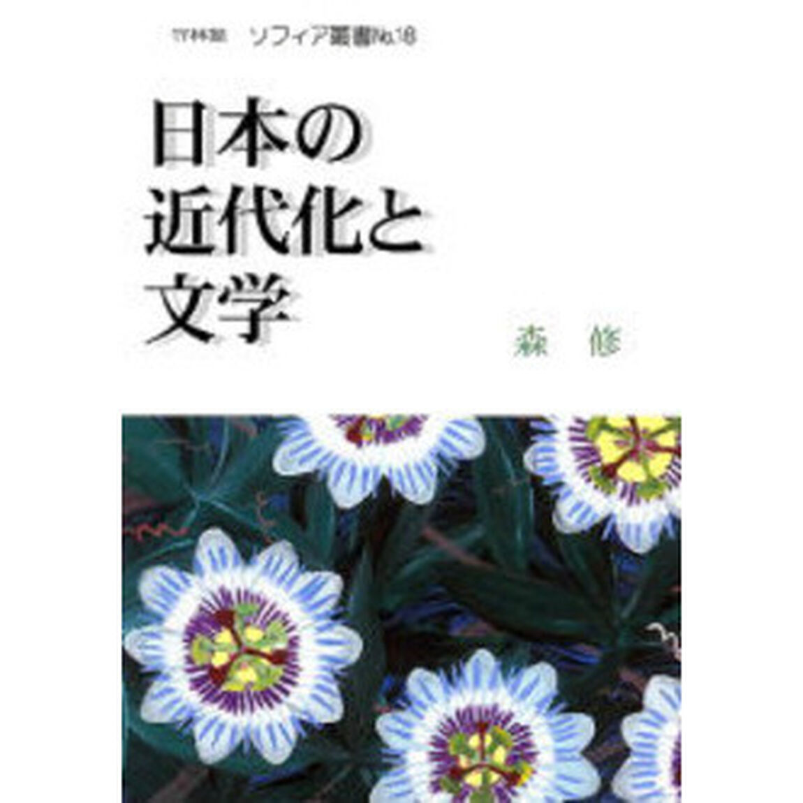 日本の近代化と文学