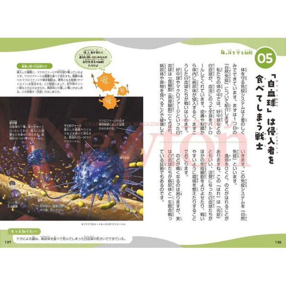 細胞の学校