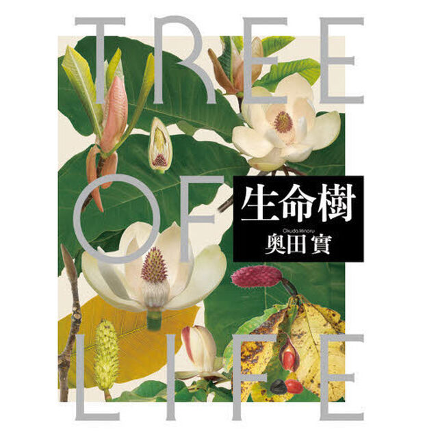 生命樹　ＴＲＥＥ　ＯＦ　ＬＩＦＥ