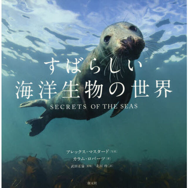 すばらしい海洋生物の世界