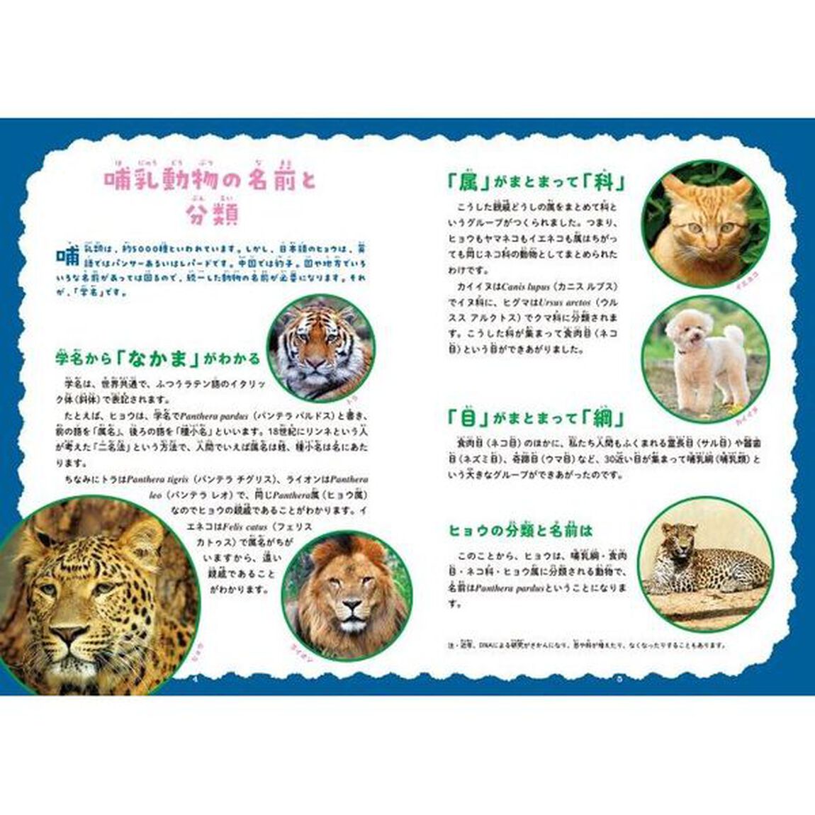 動物Ｎｏ．１図鑑