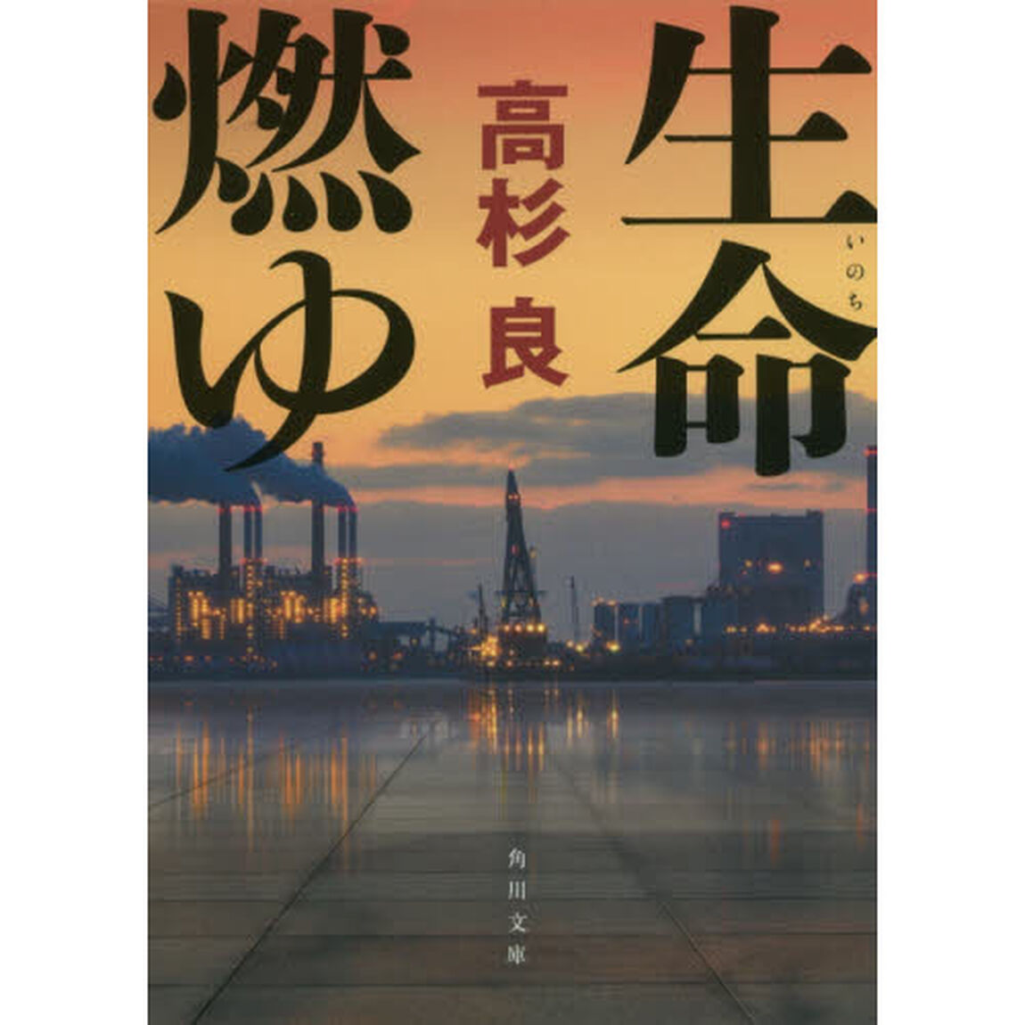 生命（いのち）燃ゆ「改版」