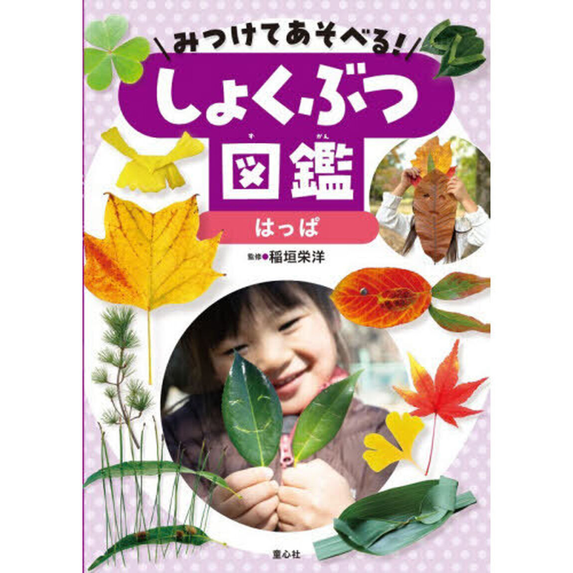みつけてあそべる！しょくぶつ図鑑　〔２〕「はっぱ」