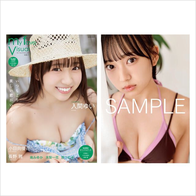 my fave visual vol.1【セブンネット様限定特典：入間ゆいポストカード（C）1枚付き】