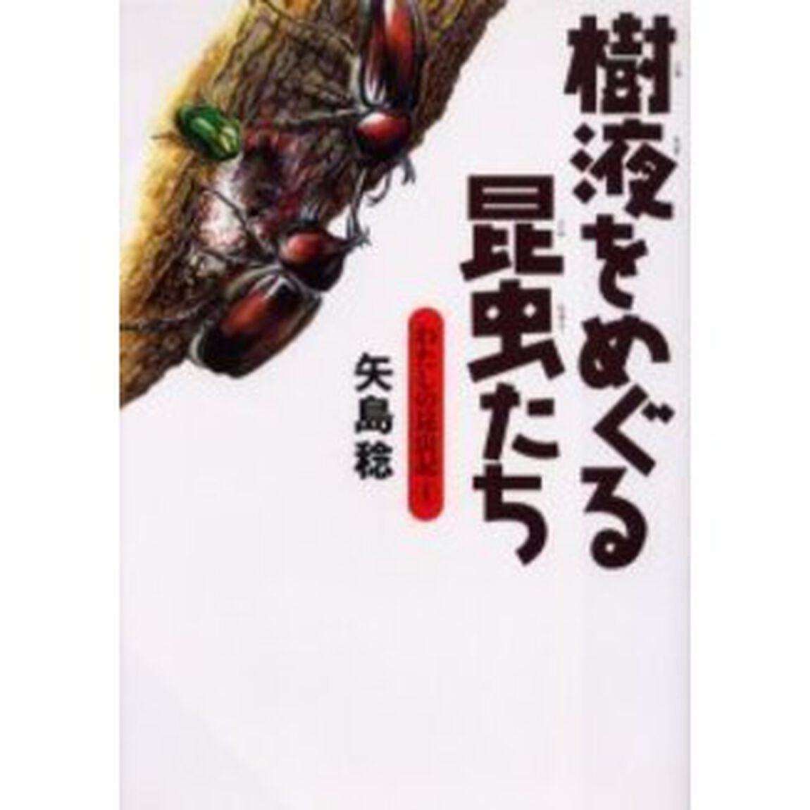 樹液をめぐる昆虫たち