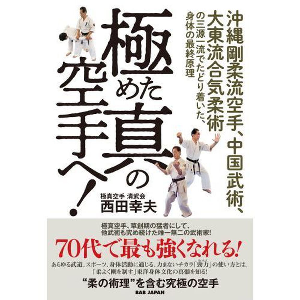 極めた真の空手へ！　沖縄剛柔流空手、中国武術、大東流合気柔術の三源一流でたどり着いた、身体の最終原理