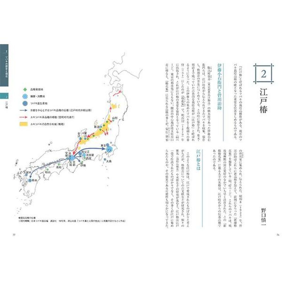 最新椿百科　育てる、活かす、楽しむ