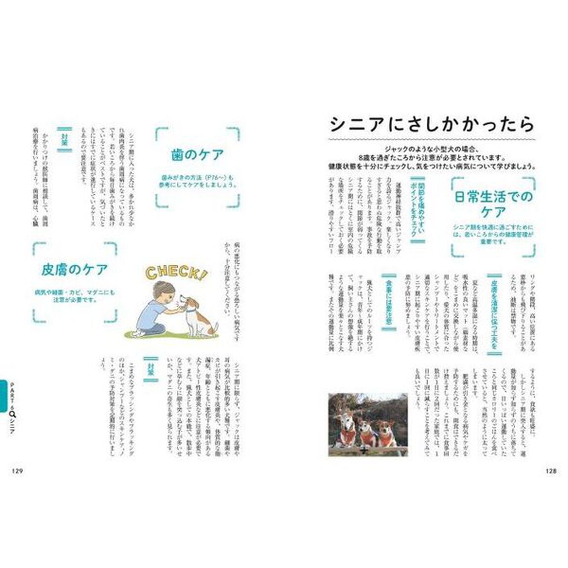 ジャック・ラッセル・テリアとのしあわせな暮らし方　０歳からシニアまで