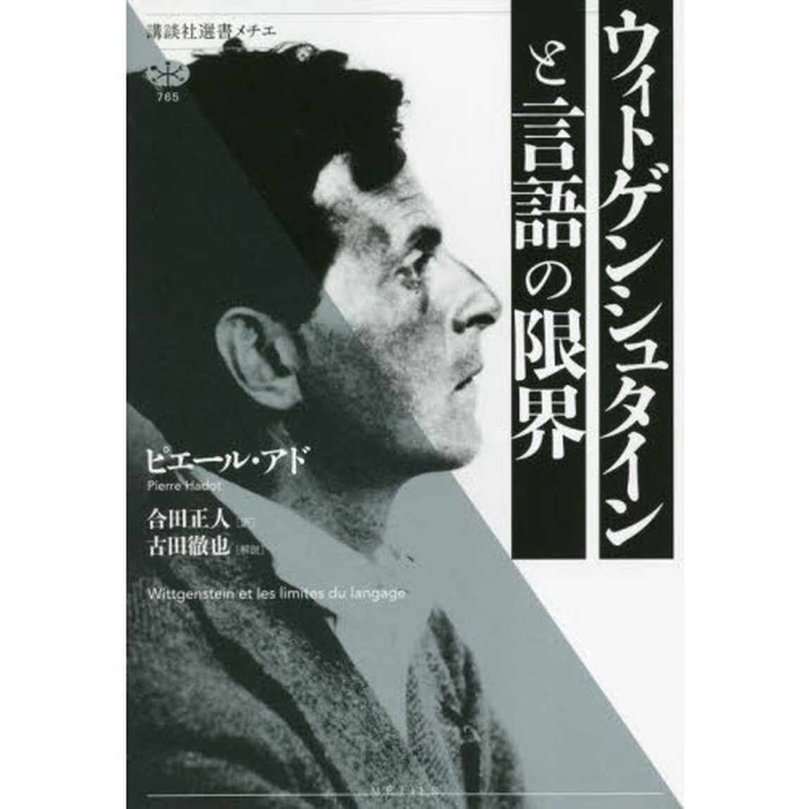 ウィトゲンシュタインと言語の限界