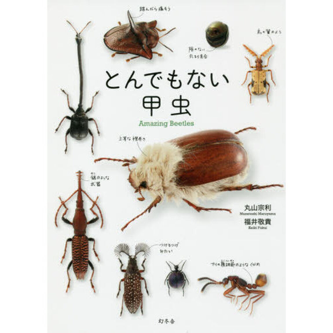とんでもない甲虫