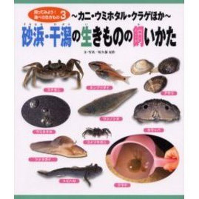 飼ってみよう！海べの生きもの　３「砂浜・干潟の生きものの飼いかた　カニ・ウミホタル・クラゲほか」