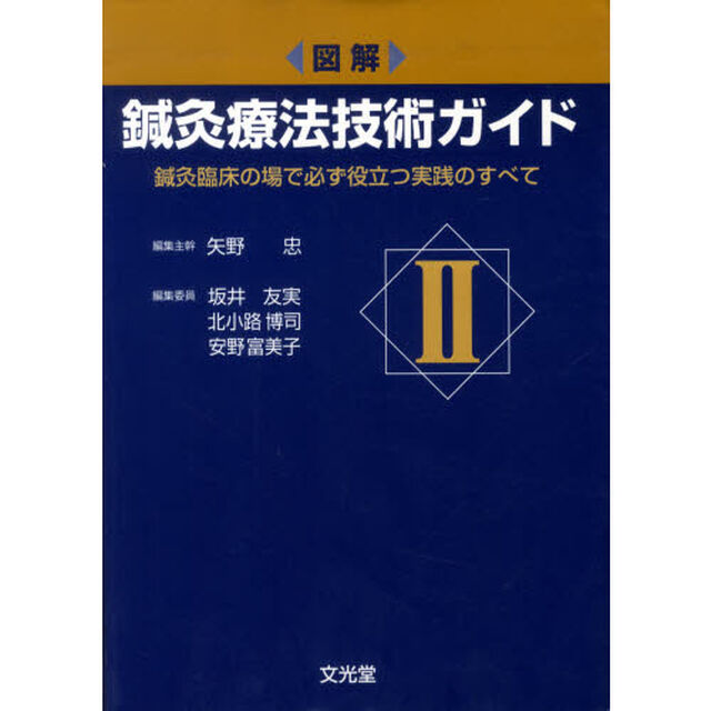図解鍼灸療法技術ガイド　鍼灸臨床の場で必ず役立つ実践のすべて　２