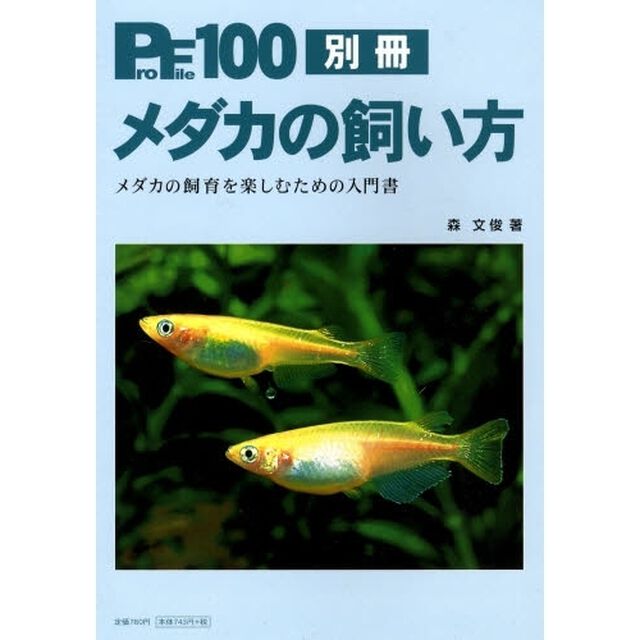 メダカの飼い方