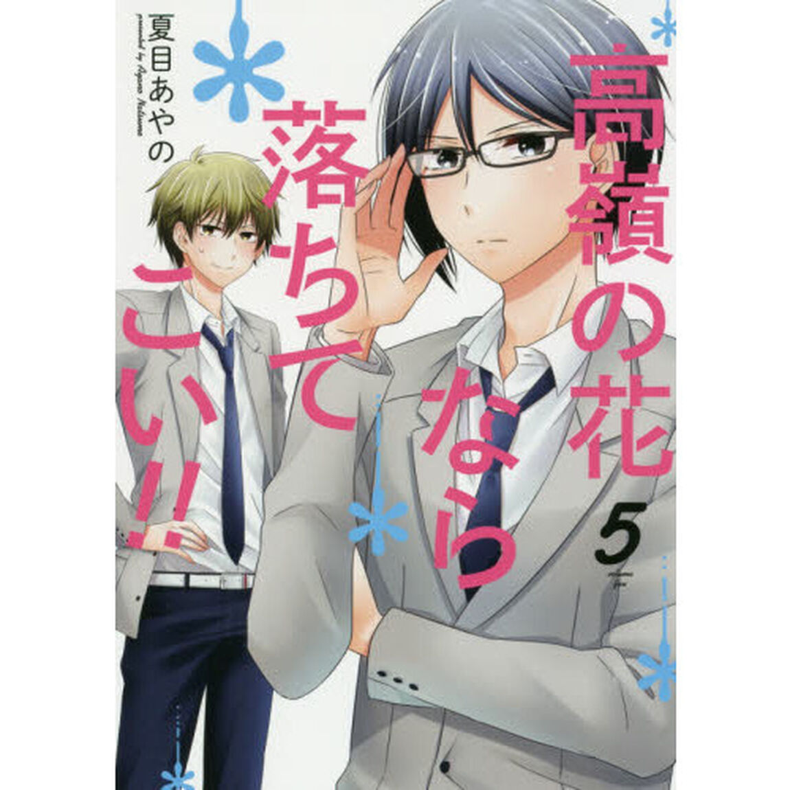 高嶺の花なら落ちてこい！！　　　５