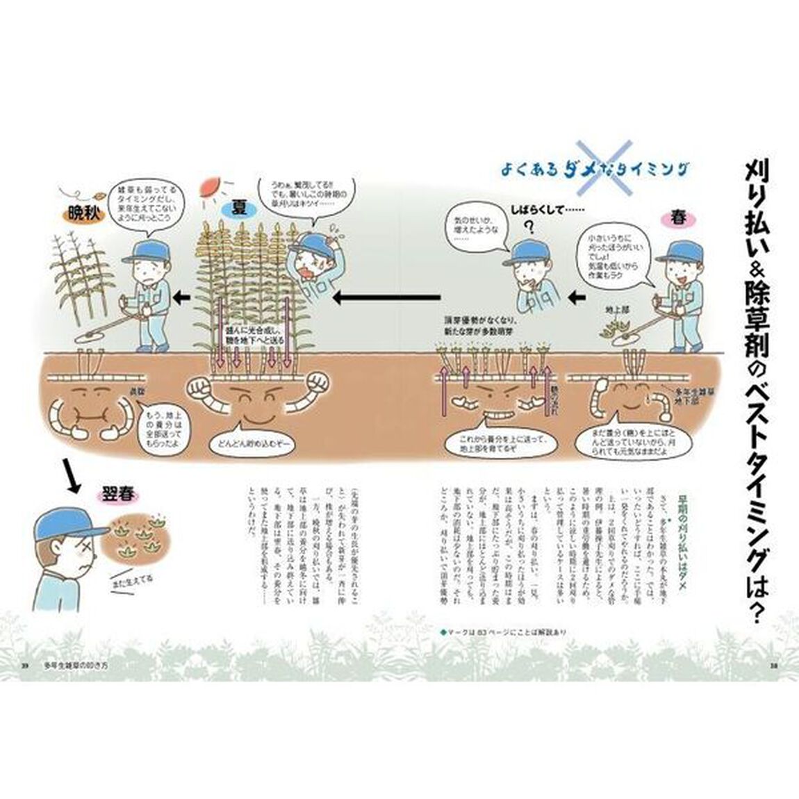 農家が教える厄介な雑草の叩き方　スギナ、クズなど、なるほど生態とかしこい対策