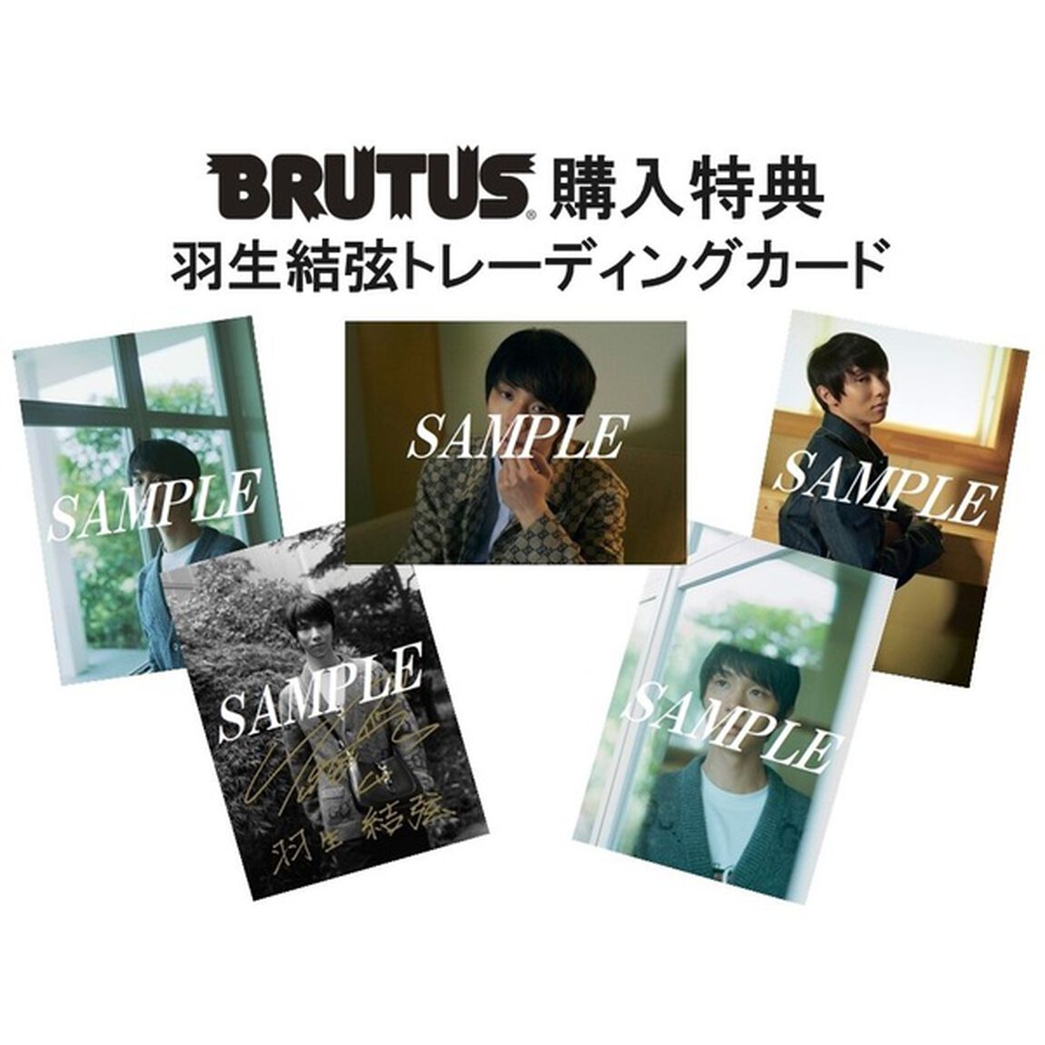 ＢＲＵＴＵＳ（ブルータス）　2024年11月1日号【共通特典：羽生結弦 トレーディングカード 1枚付き（5種からランダム1枚）】