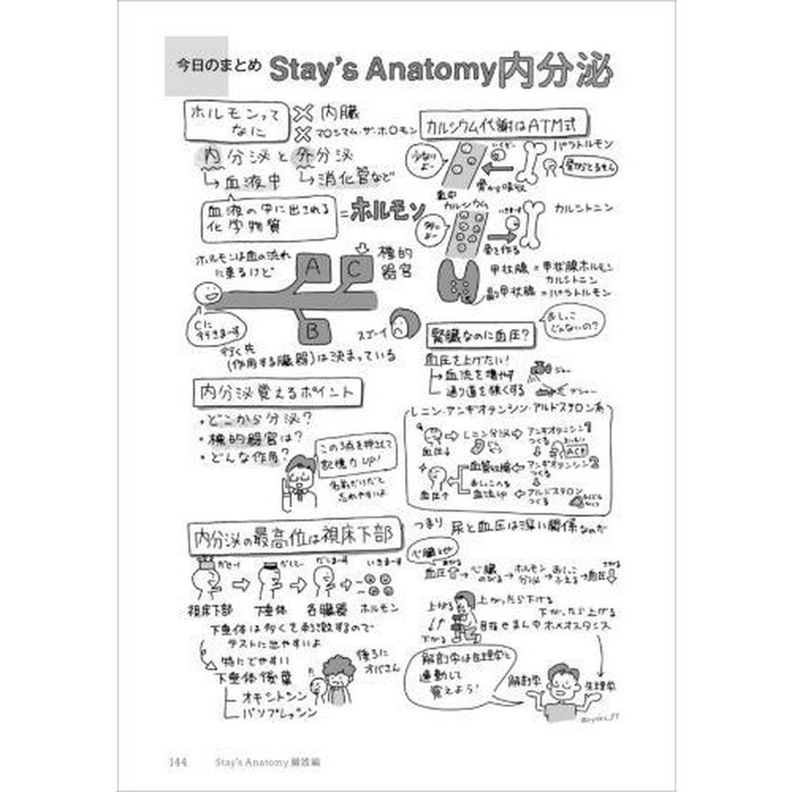 Ｓｔａｙ&rsquo;ｓ　Ａｎａｔｏｍｙ　臓器編