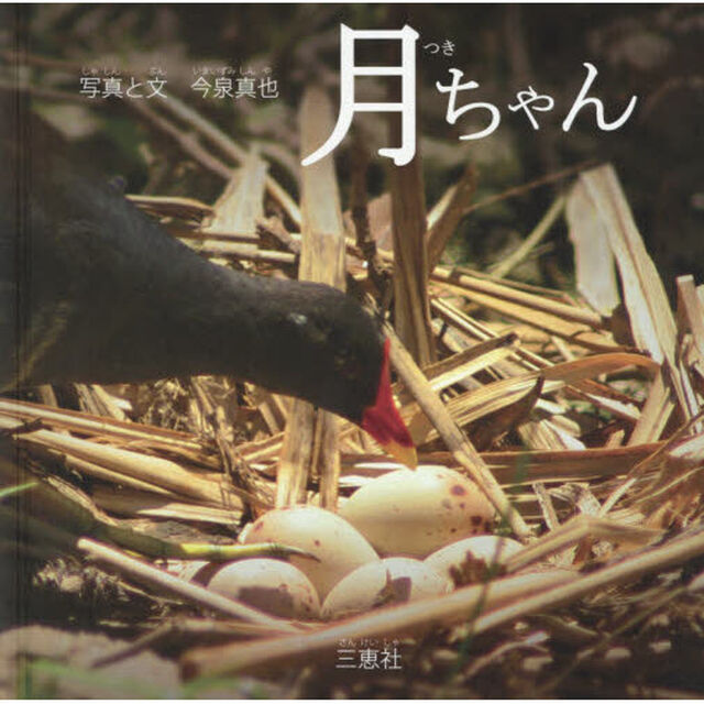 月ちゃん　沖縄・いのちの物語