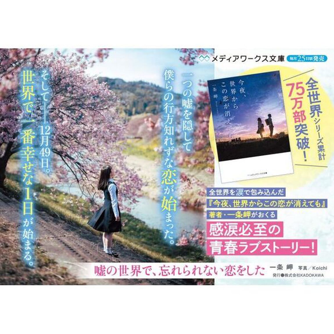 嘘の世界で、忘れられない恋をした
