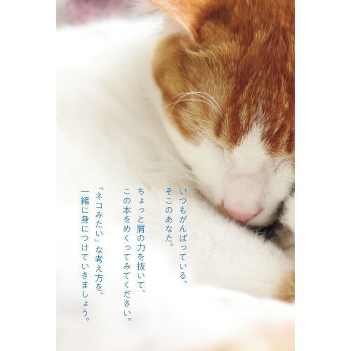 ニャンと簡単に身につく！心が休まる「アドラー心理学」